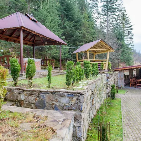 Schale Centoriya Domek alpejski Mikuliczyn