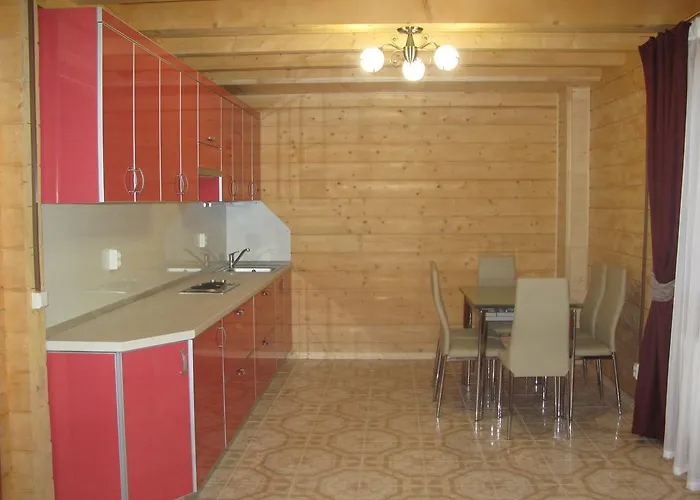 Dağ evi Schale Centoriya Mykulychyn
